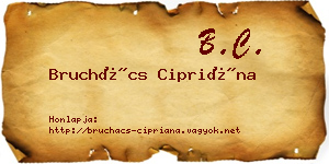 Bruchács Cipriána névjegykártya